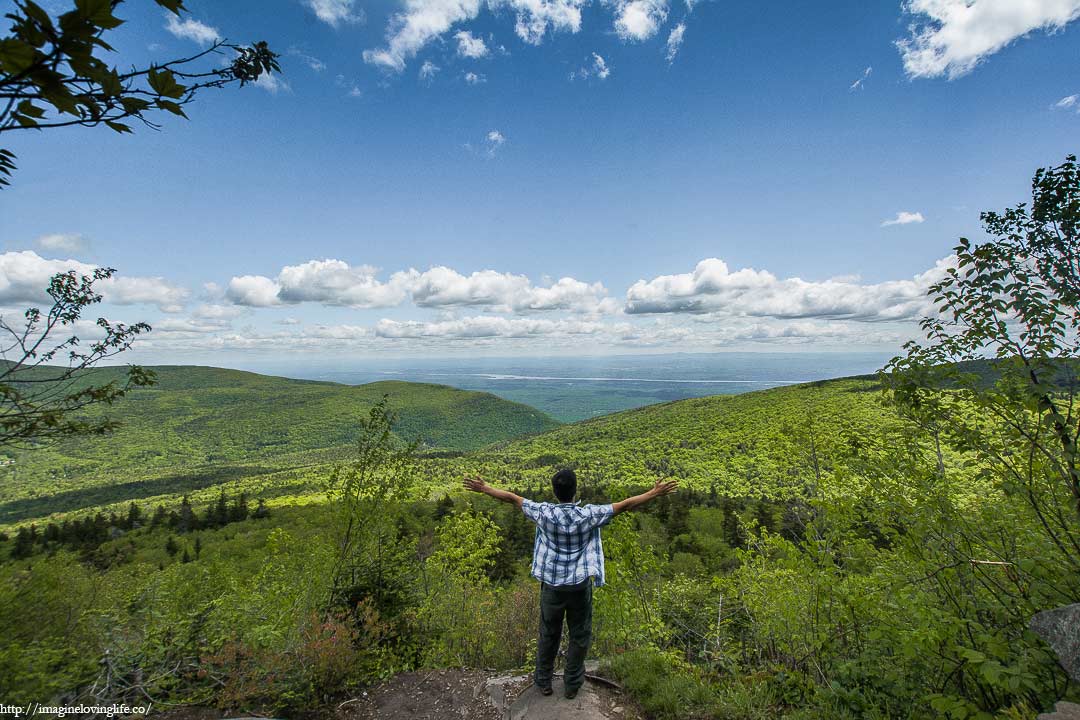 Sherman's Lookout View